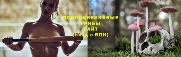 ALPHA PVP Карпинск